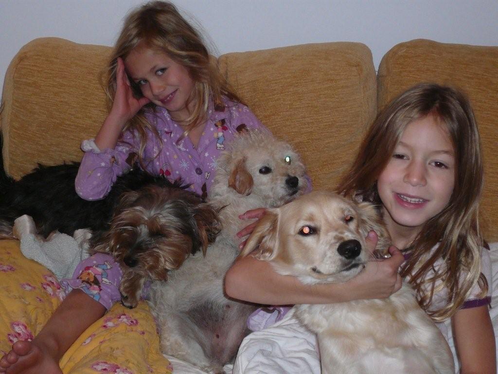 [puppies+and+little+girls.jpg]
