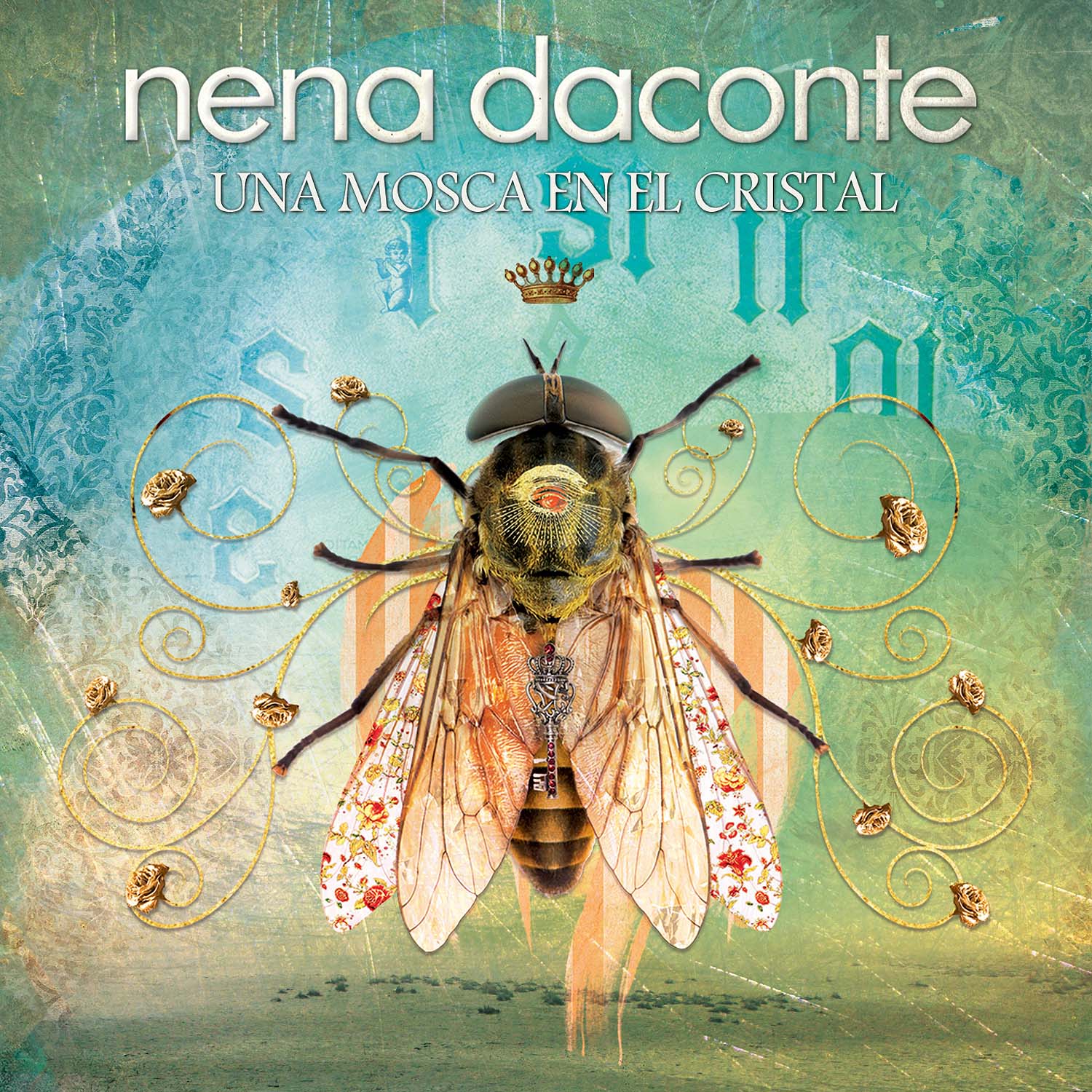 nena daconte una mosca en el cristal casi tan cansino como una mosca nena daconte una mosca en el cristal casi tan cansino como una mosca