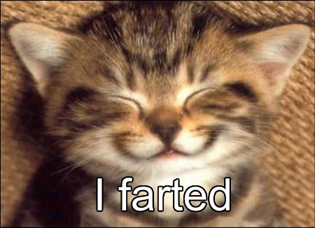 ~lily farted :3~ Avatar