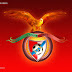 Benfica The Best Football Club in Europe 2012