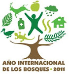 2011 AÑO INTERNACIONAL DE LOS BOSQUES