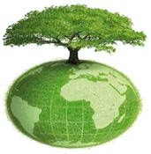 21  de marzo: Día Mundial Forestal