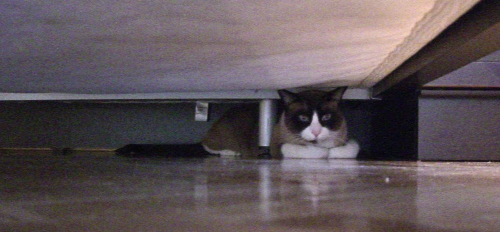 El blog de Chulo: abril 2010