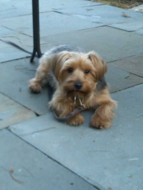 [IMG00043-20090425-1932.jpg]