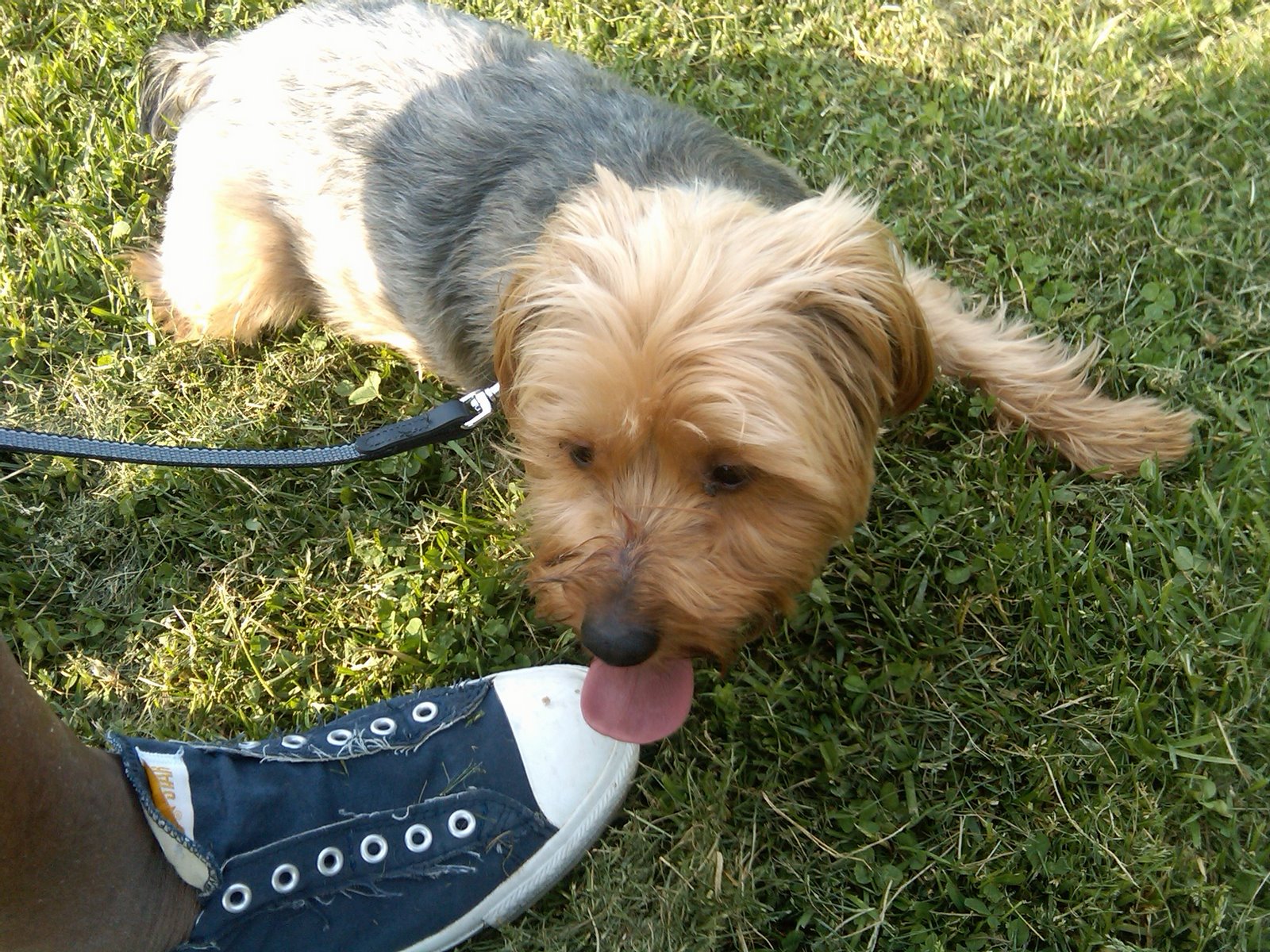 [jack+baseball+4.jpg]