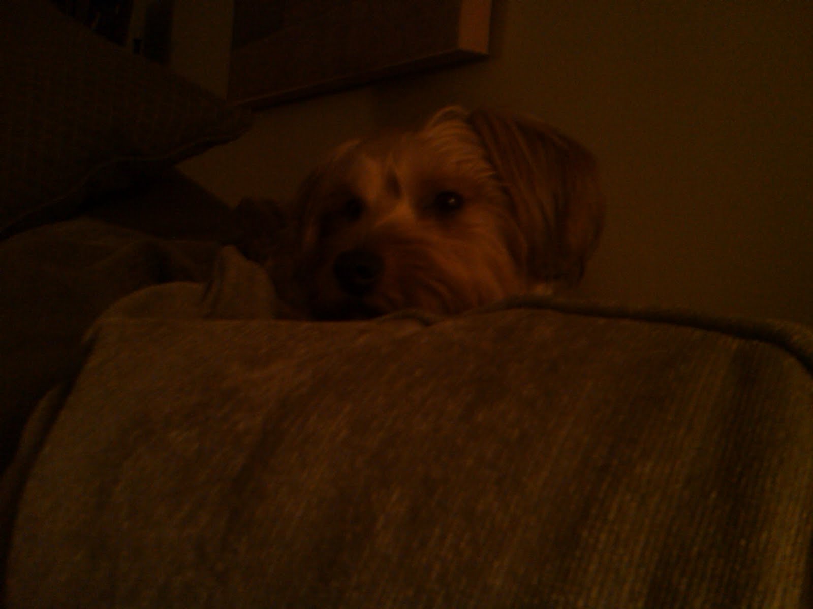 [jack+couch+2+jpg.jpg]