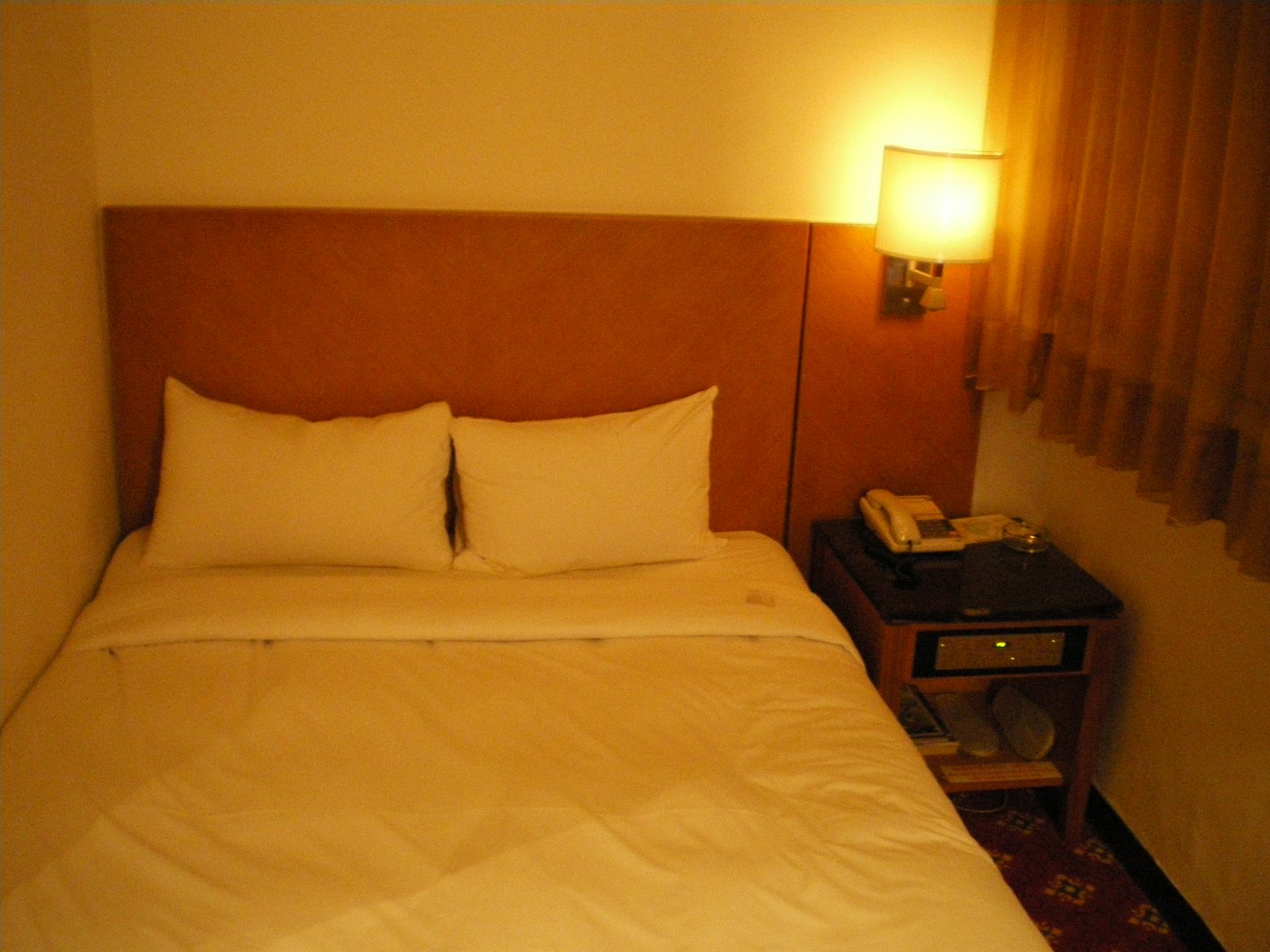 [IMGP0503.JPG]