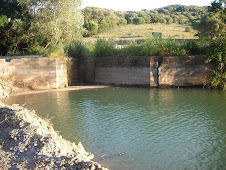 LE PRESA EN EL RIO GUADIARO