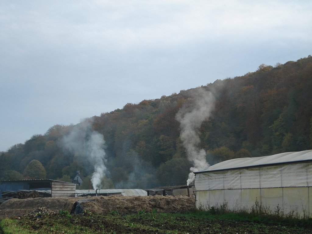 [DSC08321.JPG]