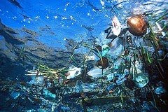 Garbage Beach Hawaii
