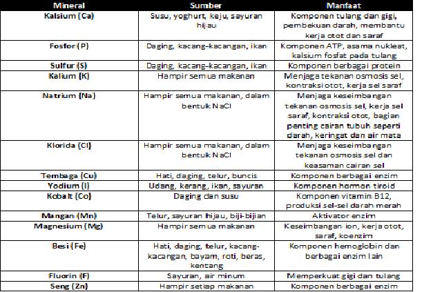 Biohealthyfood Zatzat Makanan yang Diperlukan Tubuh