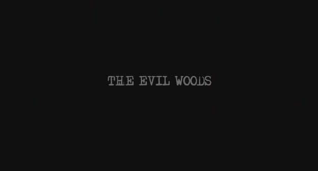[The.Evil.Woods.2007.STV.DVDRiP.XviD-iNTiMiD0.jpg]