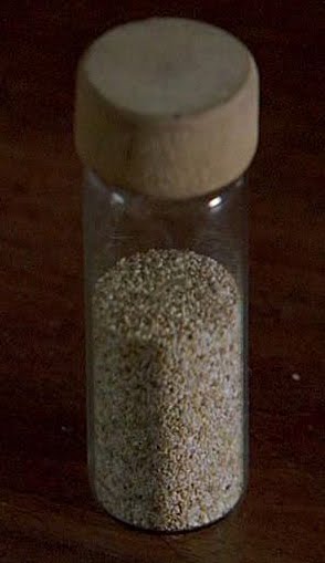Ash Test