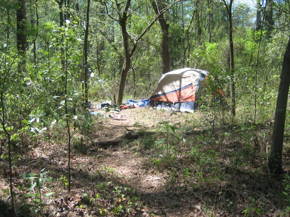 [turkey_hunting_camp.jpg]