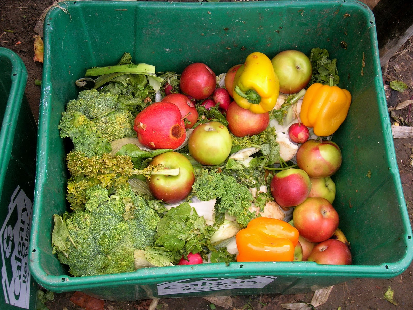 My Mountain Garden Gleanings Feeding Chickens Produce