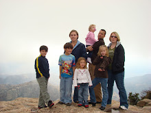 Windy Point lookout on Mt. Lemon