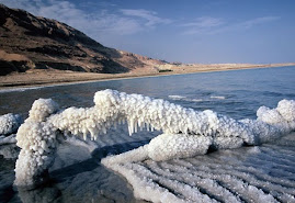 البحر الميت