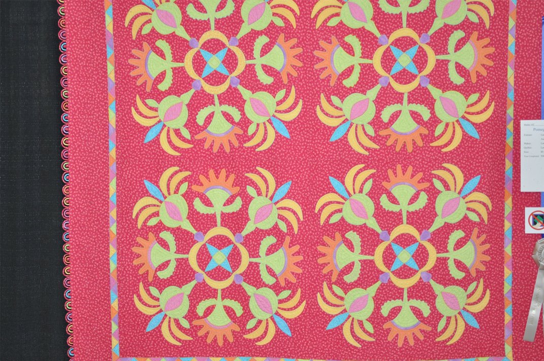 [bright-applique-quilt-with-cool-binding.jpg]