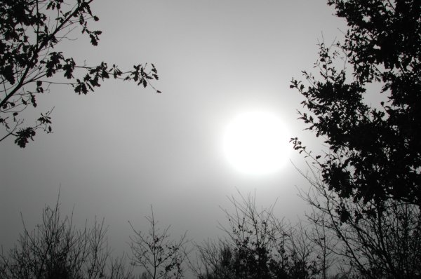 Vida Um Dia Cinzento