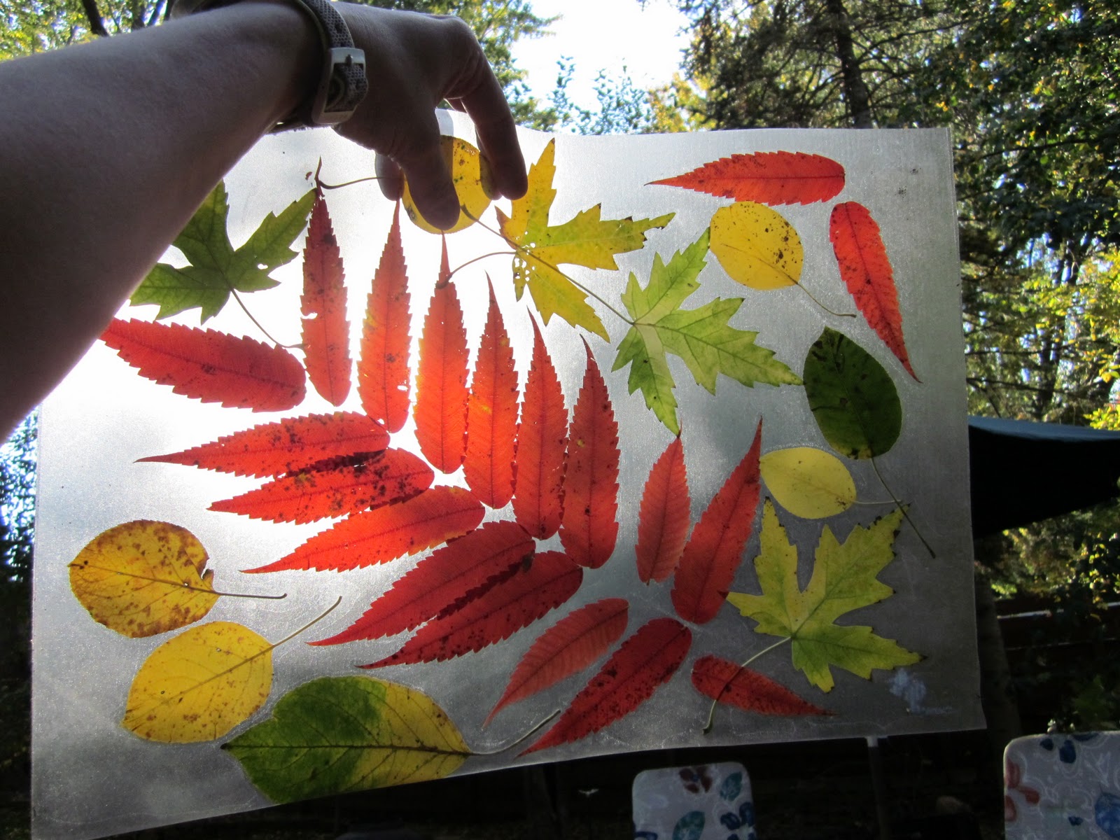 ID Mommy ID Mommy Project Make a Fall Leaf Placemat!