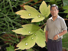 Mi foto
