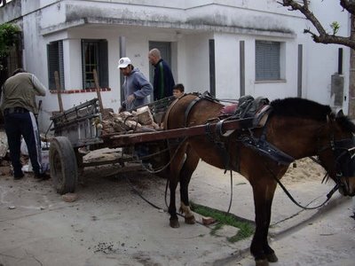 MALTRATAR A UN CABALLO NO TIENE PRECIO