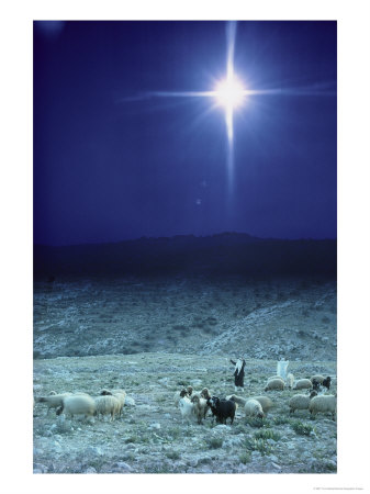 Angel Shepherds