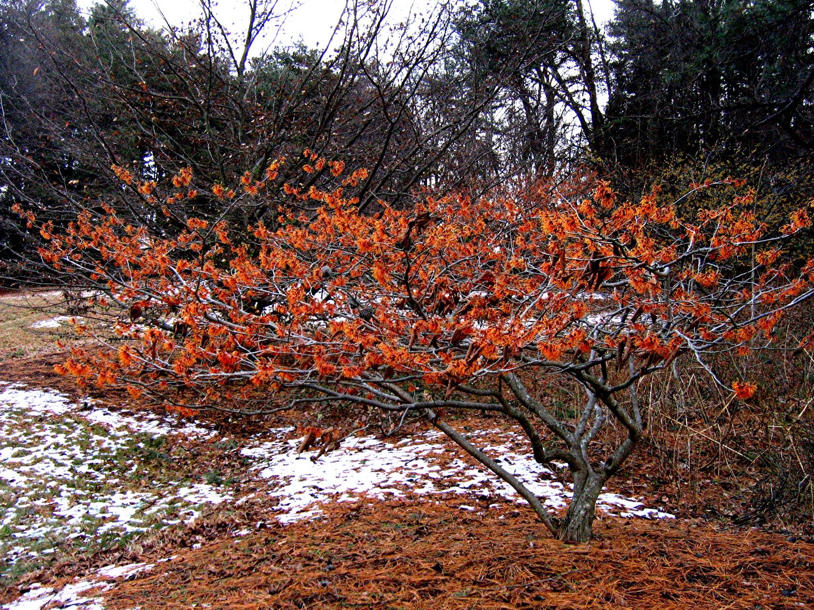 [February+2009+007.jpg]