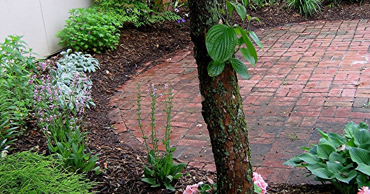 1003 Gardens Beltsville Library Courtyard Sunday May 17