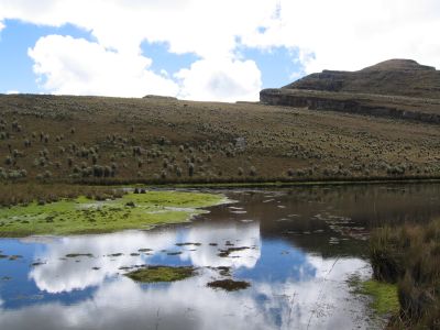 [sumapaz6kw5.jpg]