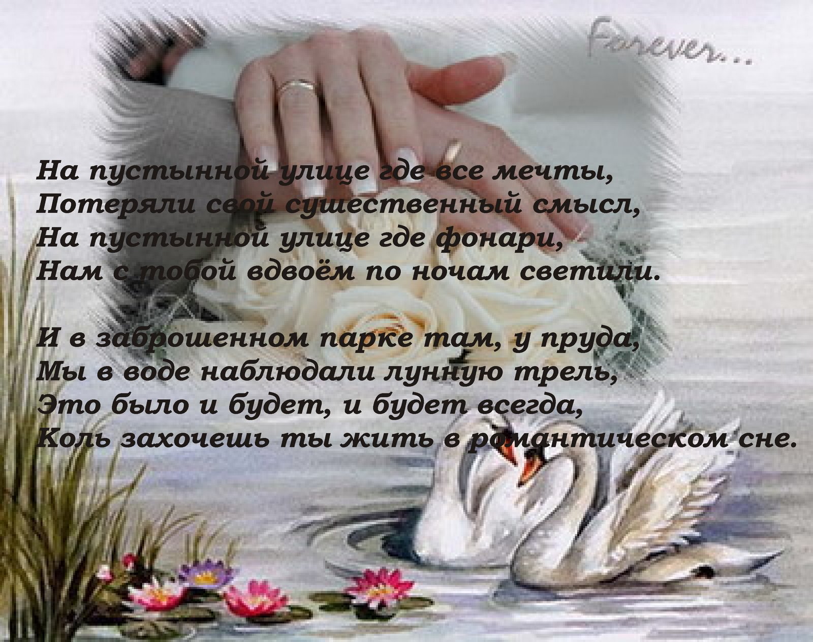 [1.bmp]