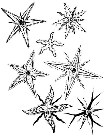 [sketchbook_stars_web.jpg]