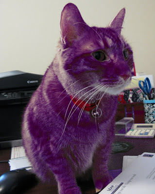 HEY KU FANS Purple+Cat+2