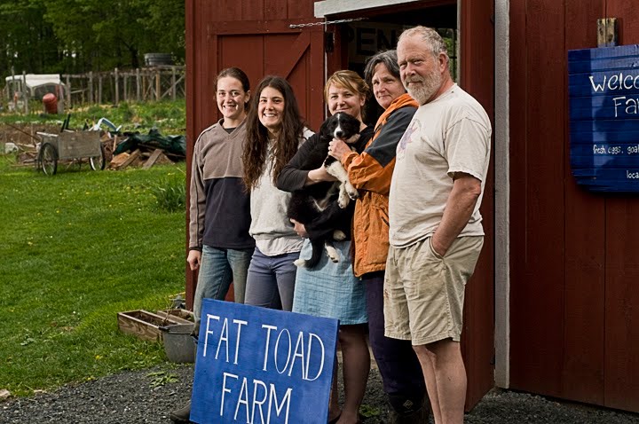 fat toad farm