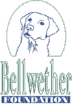 [bellwetherfoundationlogo.gif]