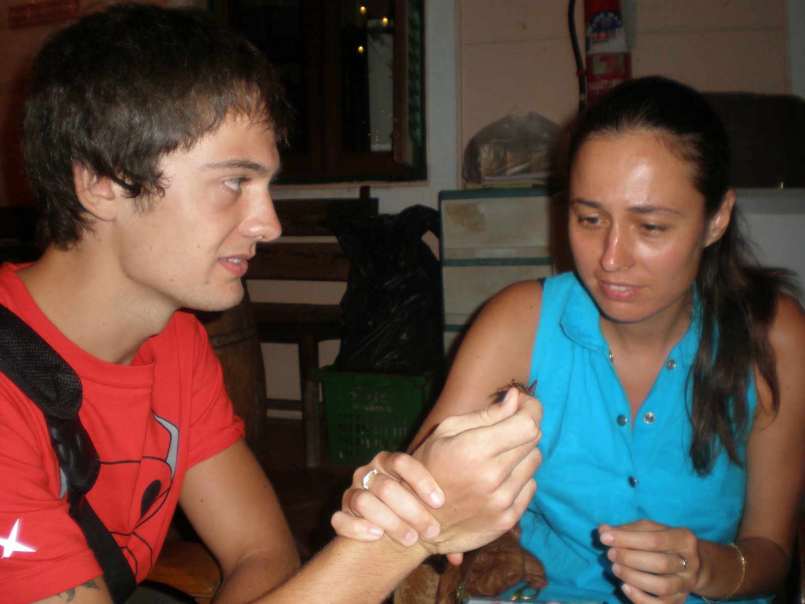 [P2240055.JPG]