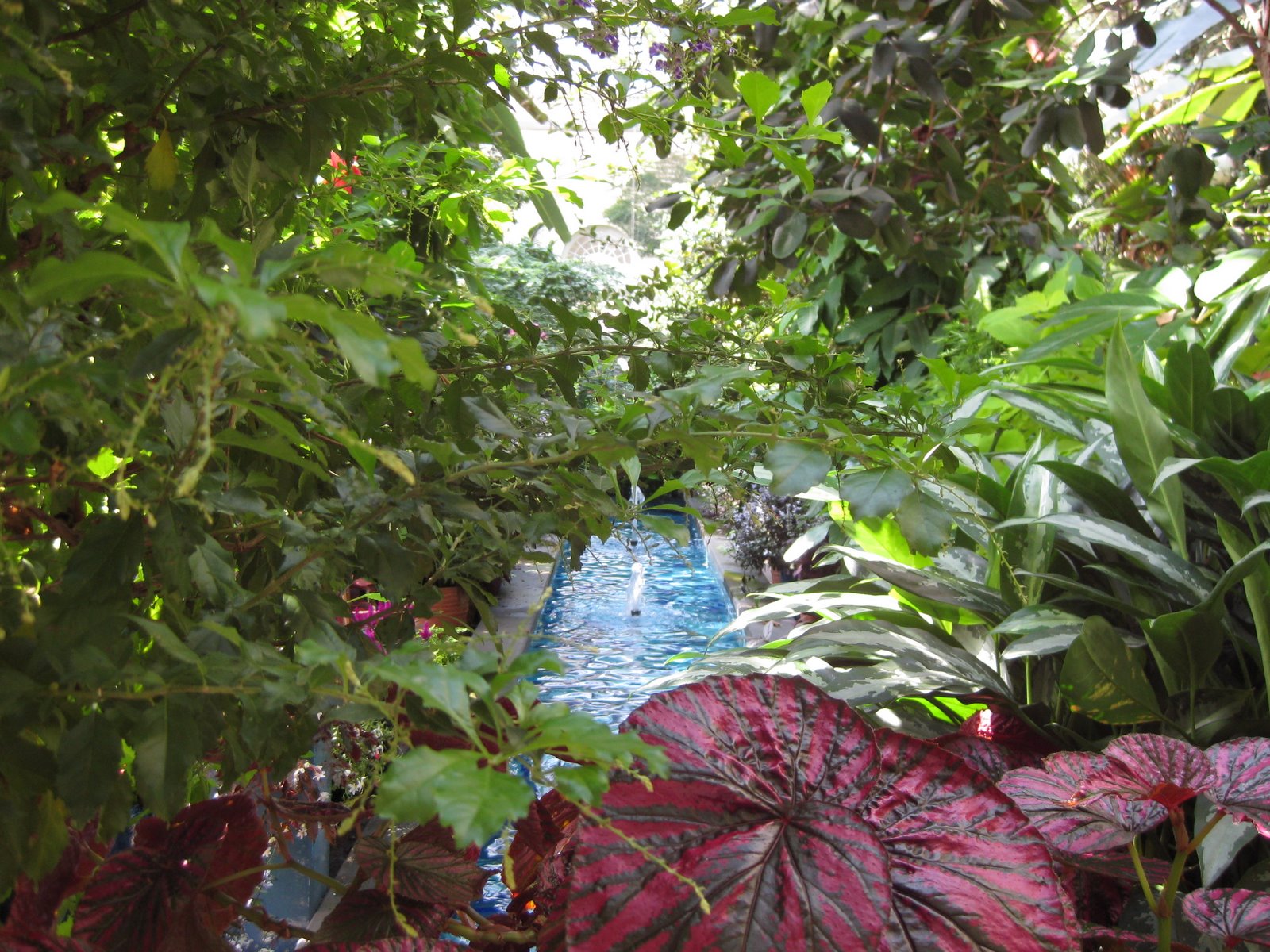 [September+2008+227.jpg]