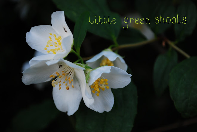 little green shoots