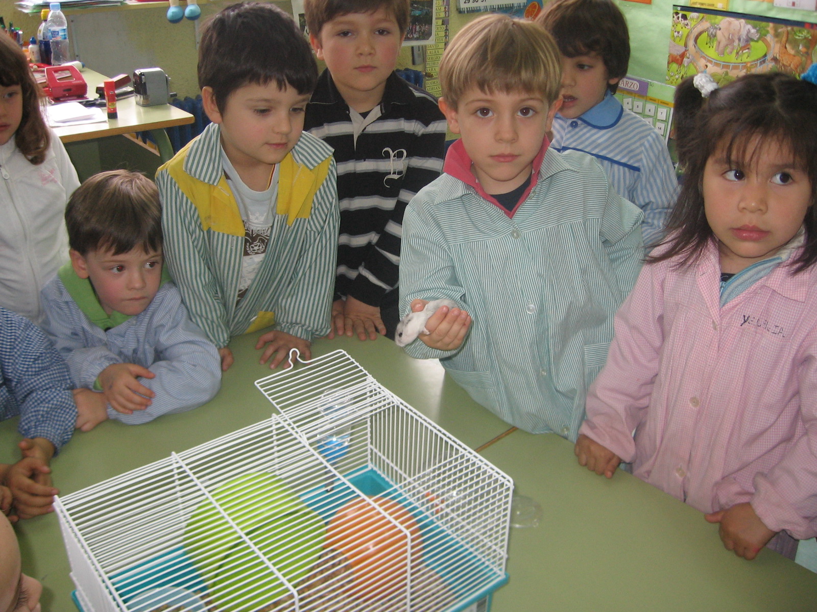 [IMG_5215.JPG]