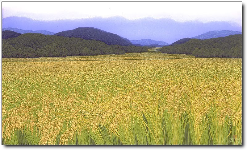 (圖片來源:波哥)