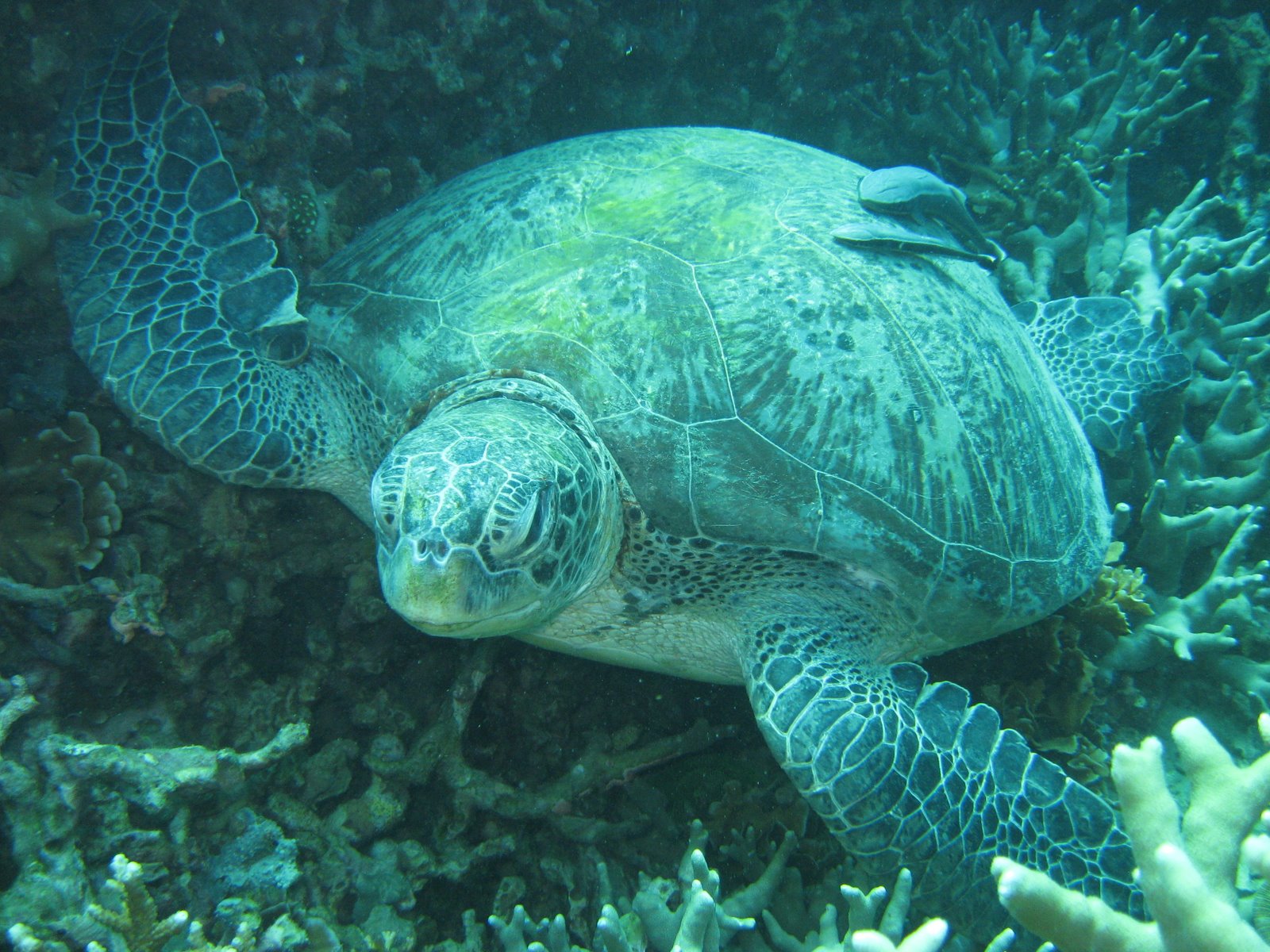 [IMG_3707.JPG]