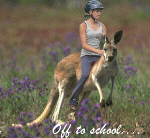 riding+kangaroos.jpg