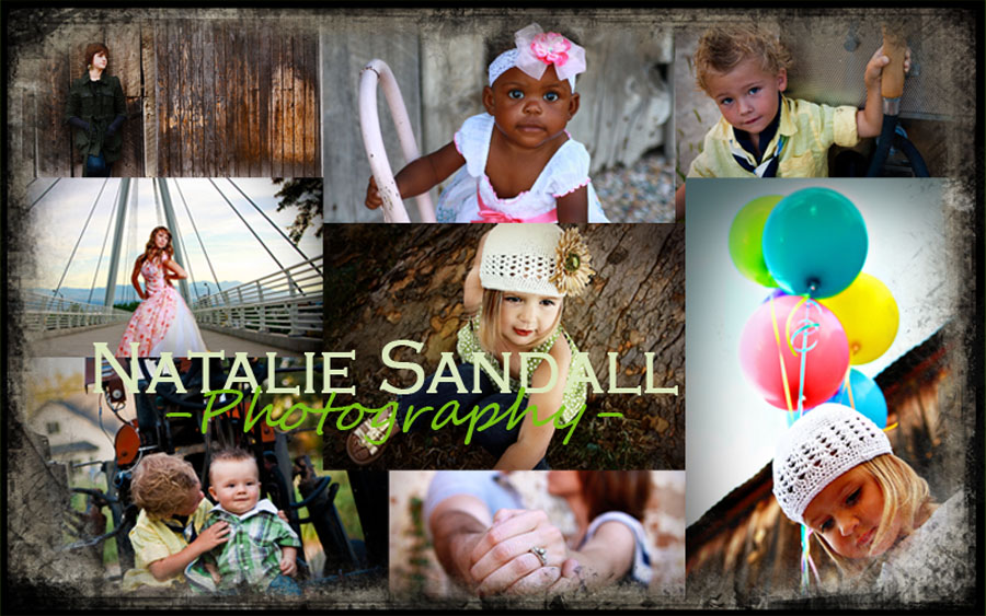 Natalie Sandall Photography