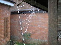 Frosty Icicles