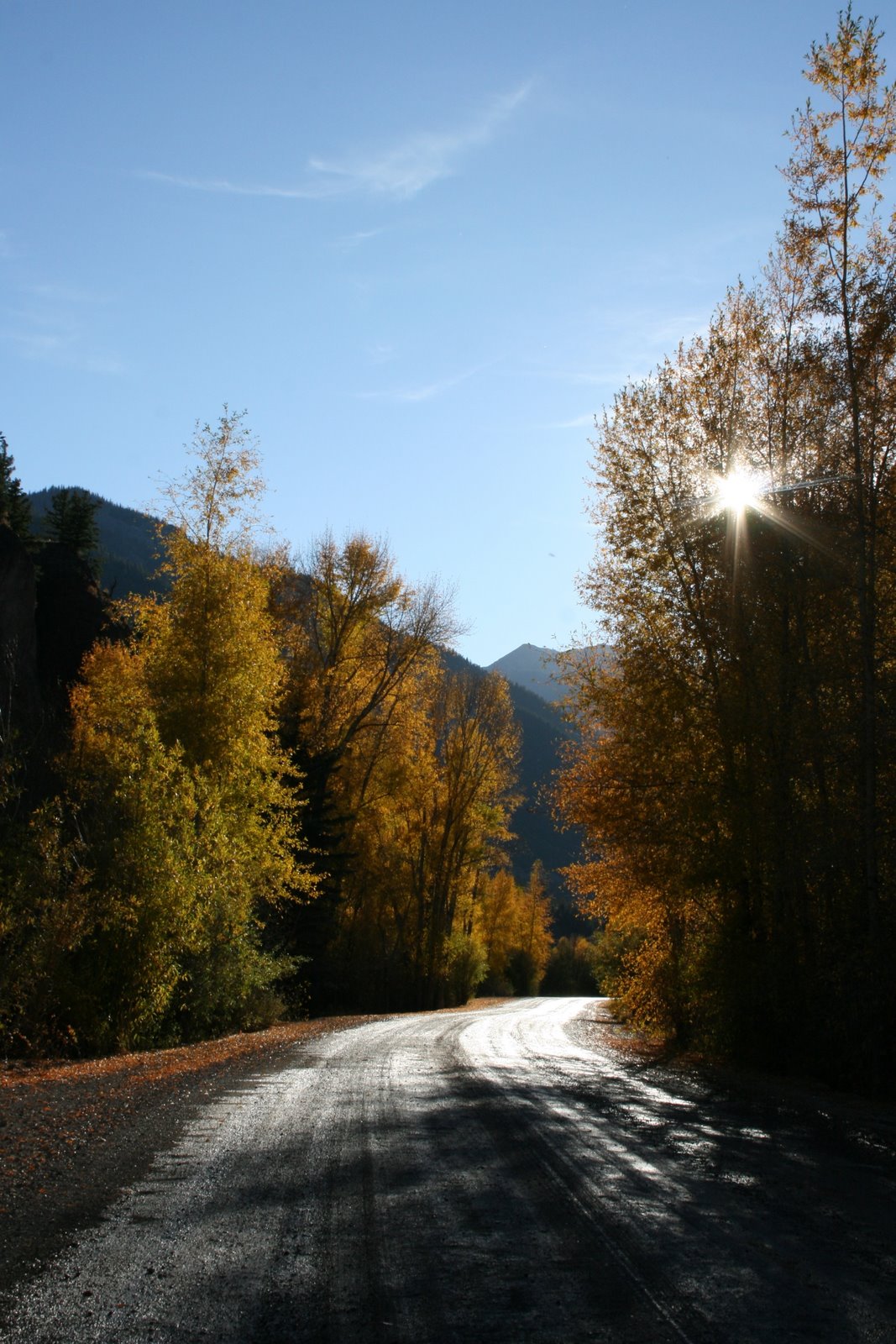 [IMG_7205.JPG]