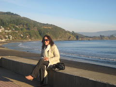 Iris en la playa Los Molinos