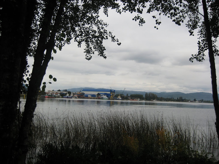 Jardín Botánico