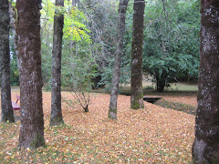 Jardín Botánico