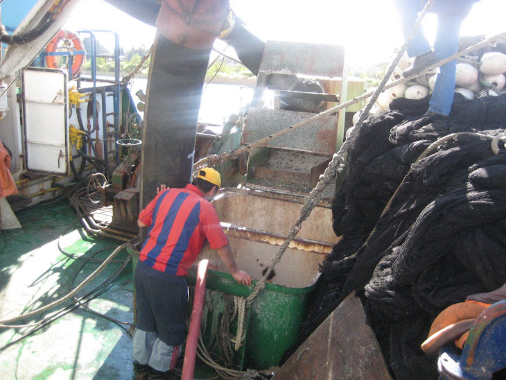 Barco Constitución cargando las sardinas a un camión