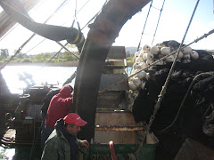 Empresa  ALTE  pesquería de sardinas y anchovetas